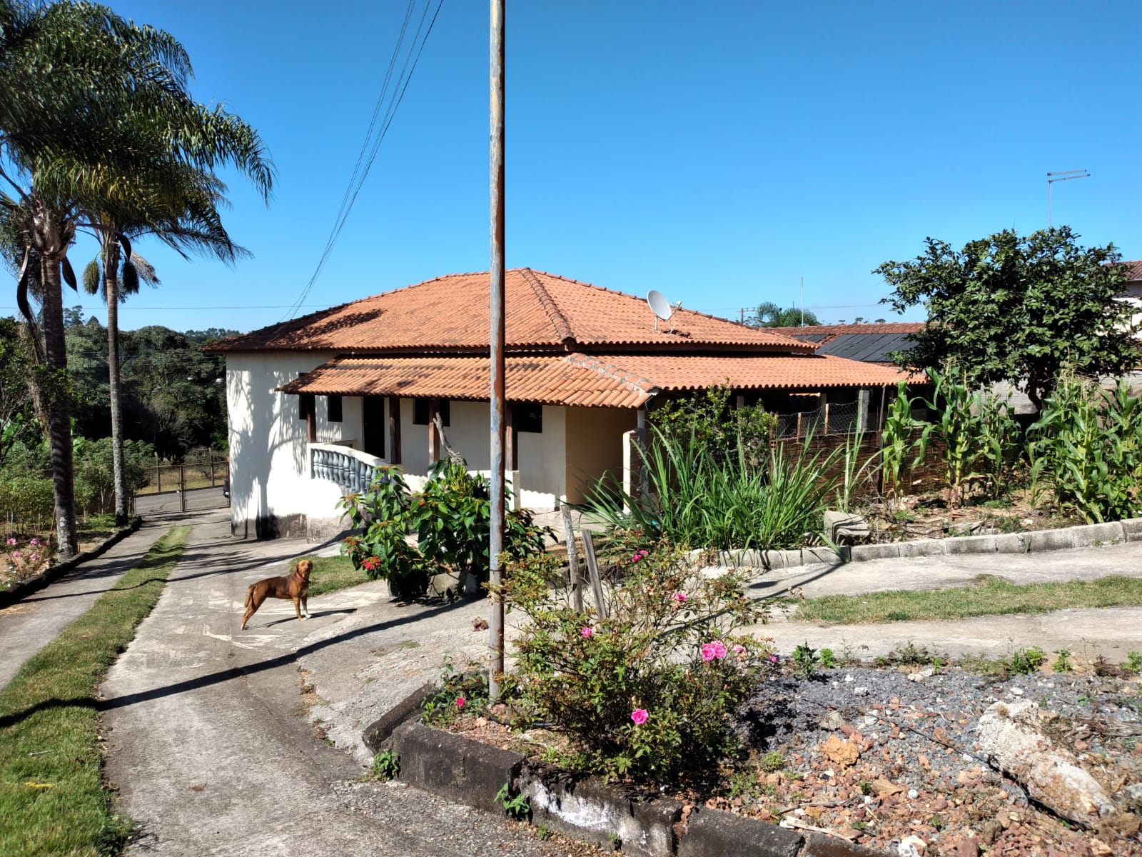 0c9bc4fc-724a-45fd-ab72-217b02404214