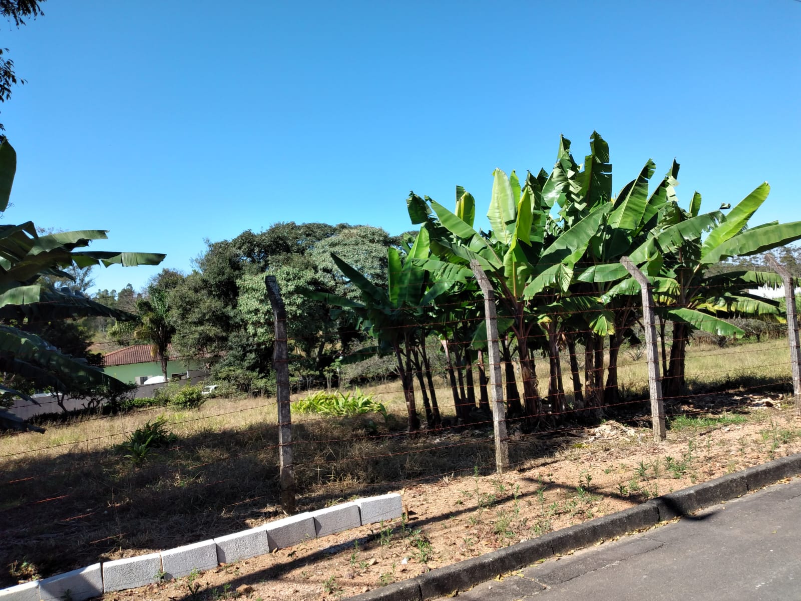 540b6c8f-53e5-47a9-919b-99c5160ba0c1