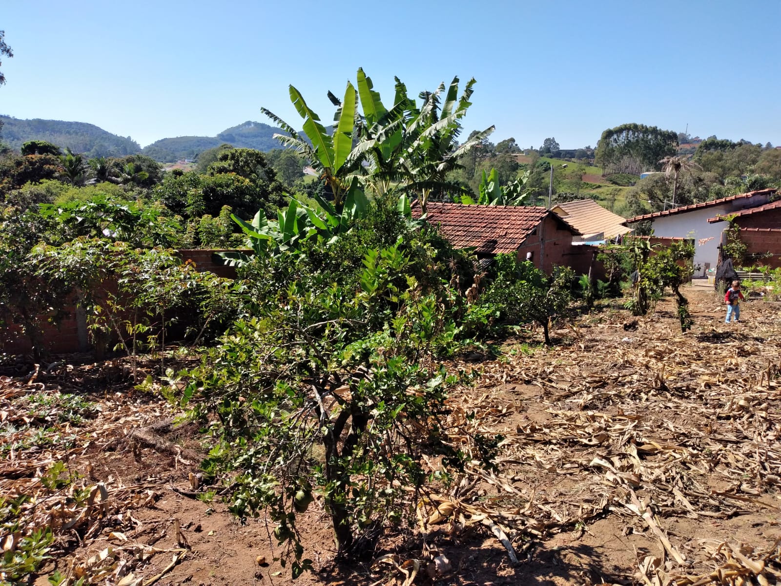 543df770-e5bf-44d6-9490-3c1b2bf18521