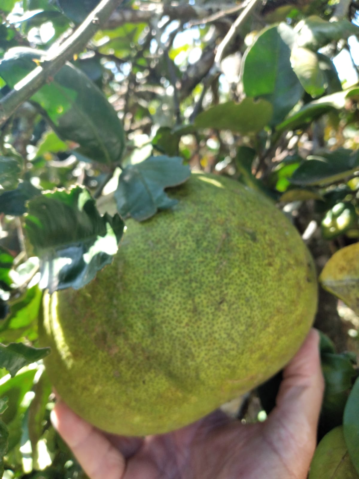 5ca9e7dc-3255-4d43-a8f7-cecb84f16591