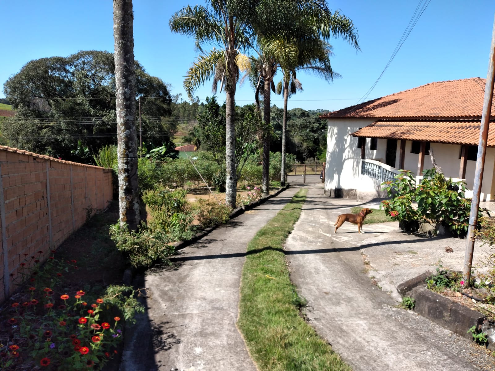 603117e4-bc00-45d9-8bf4-8edd95ed295c