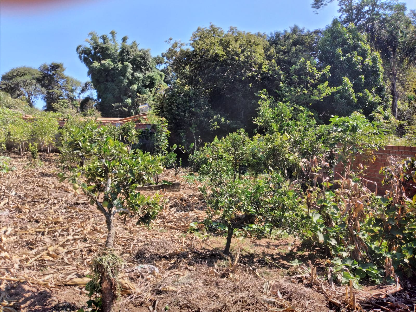 640439b2-d668-4952-b652-2d7c924bad82