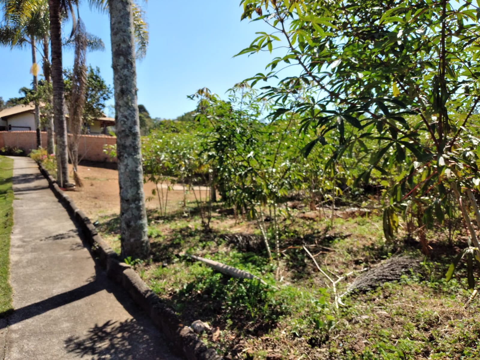 67a4e827-6465-4204-938a-5332bea6a778