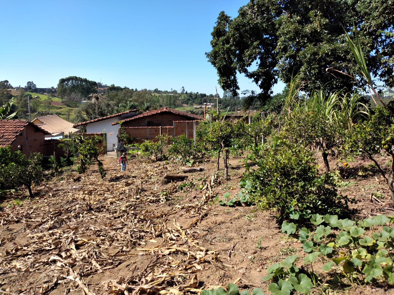 6a37c8fa-5c94-49c5-9eee-ed05a805d731