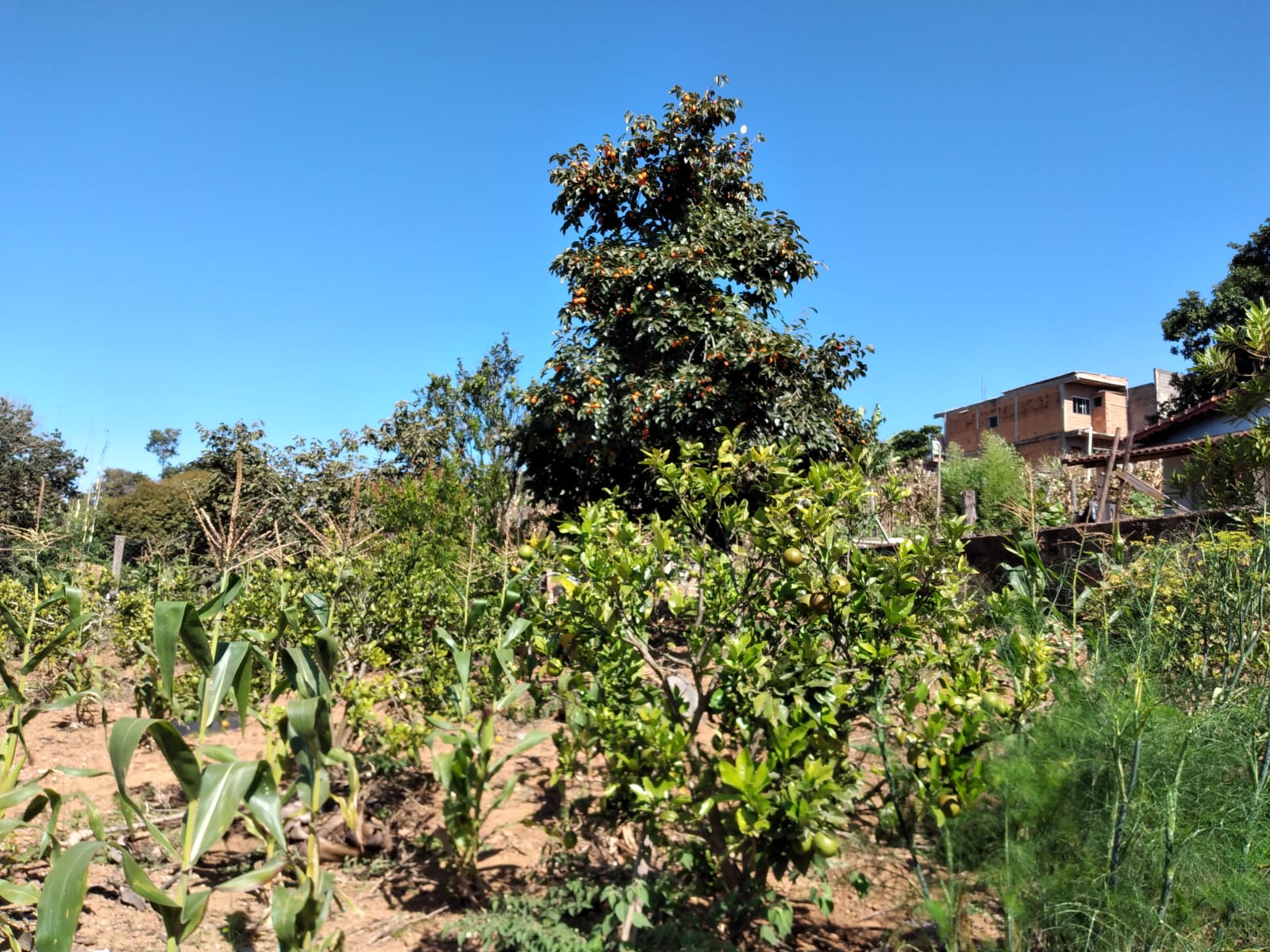 9343c929-8721-42ac-a1cf-8a1f118d4d67