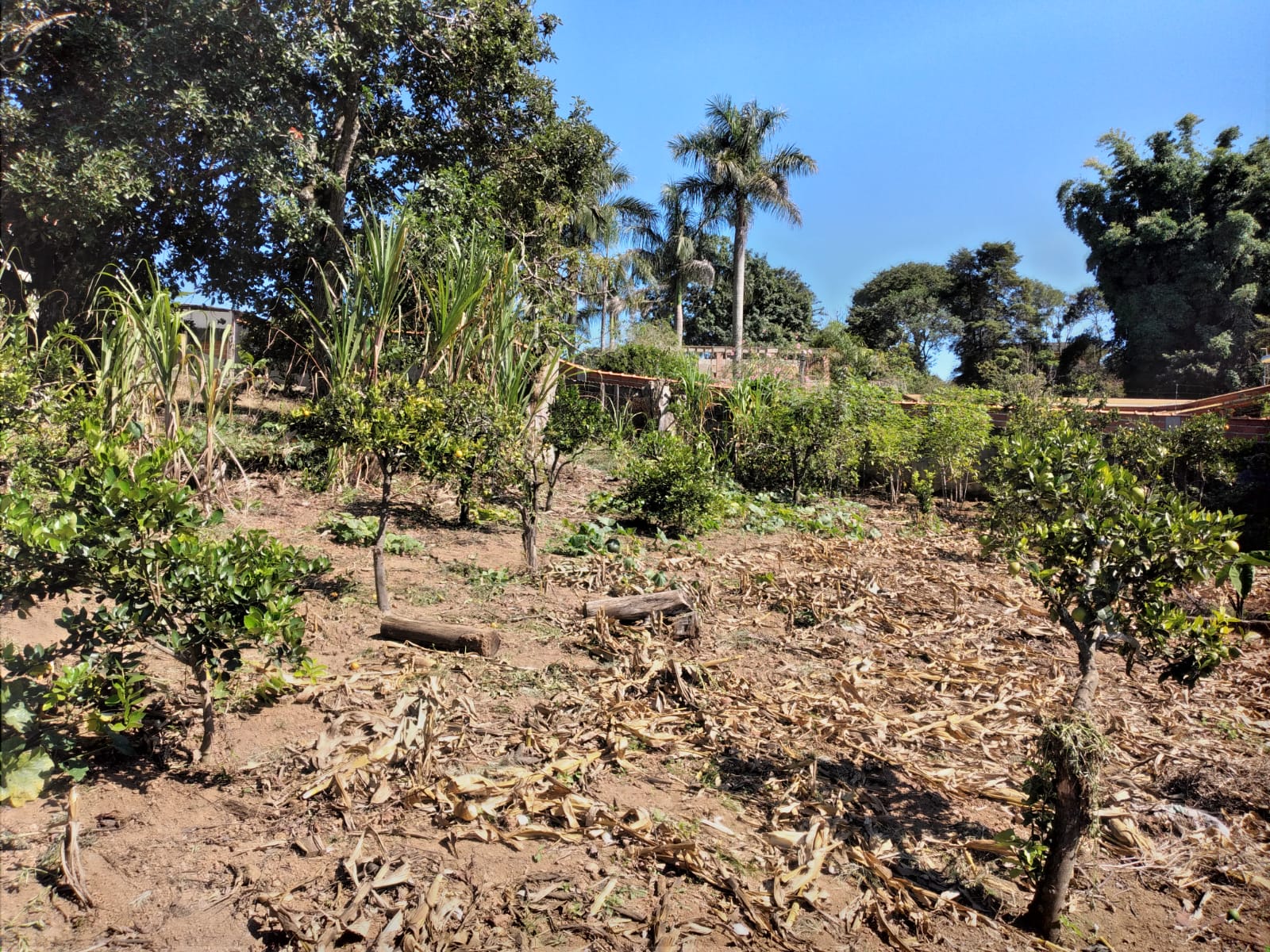 a01a2fe6-3315-4112-910a-c2c77db14da9