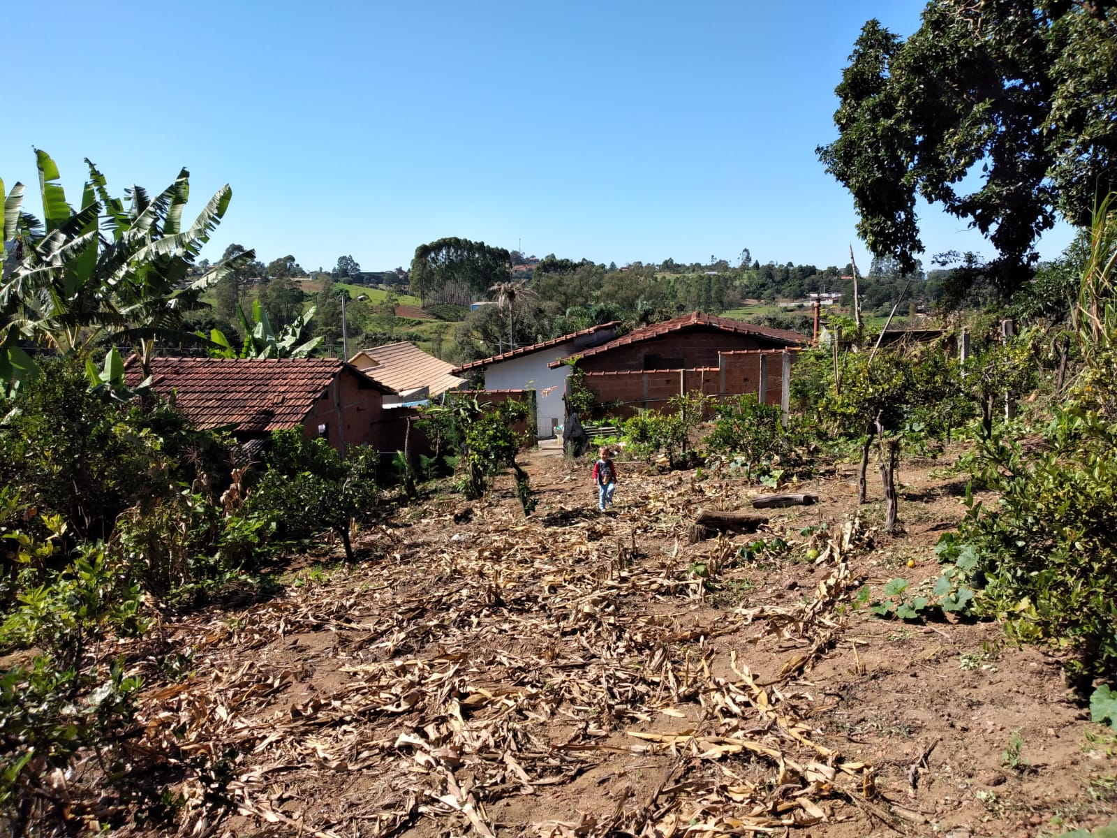 a518c1ea-4a69-45cb-9bb2-b858d66b7e2c