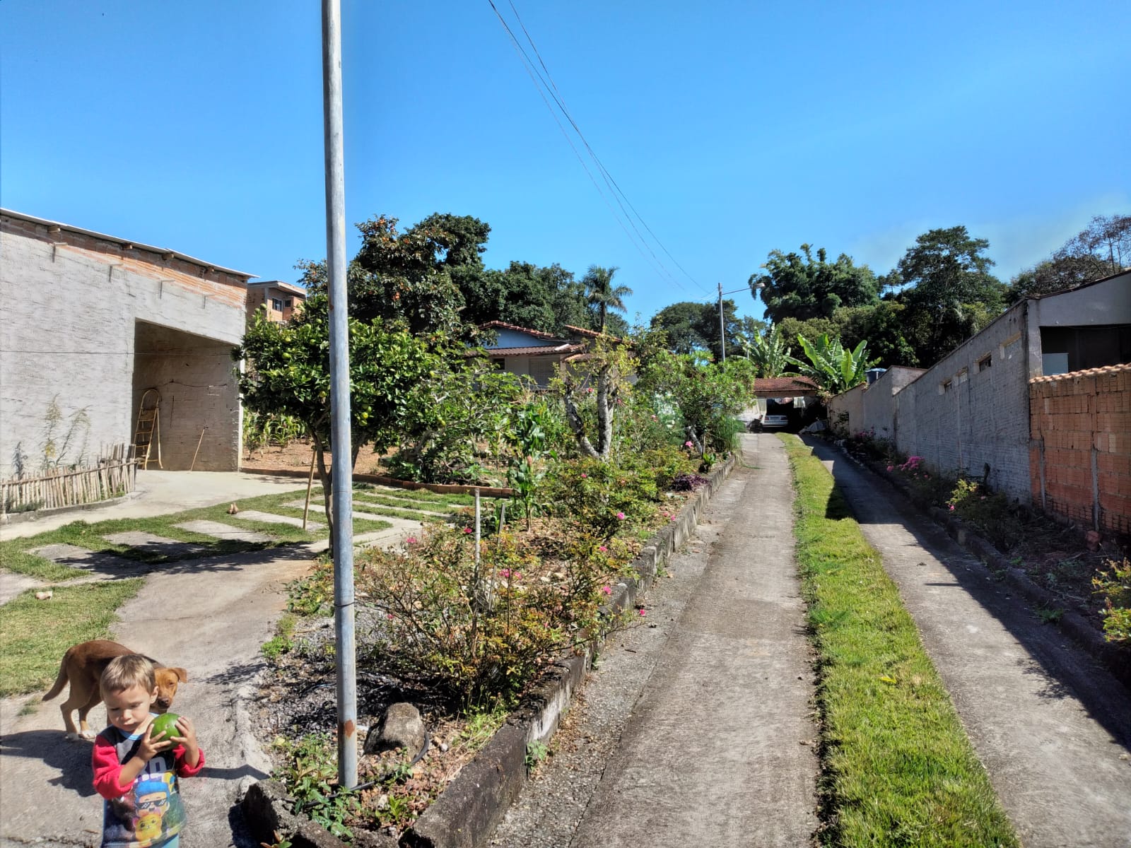 c63085b3-6a52-48a5-bc79-6844d13c0de0