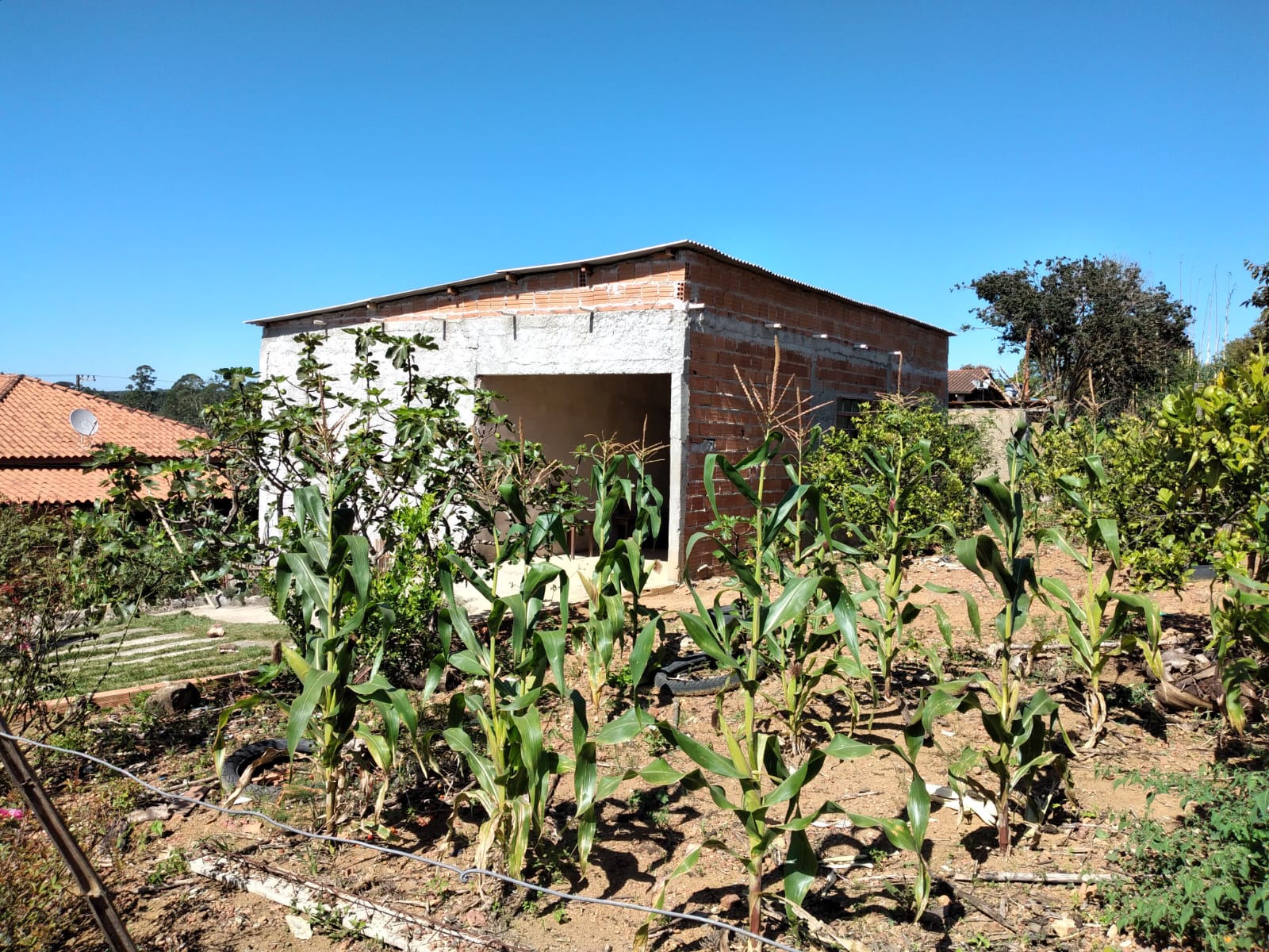 d192cff1-7a27-4283-b497-f7da1adc4dac