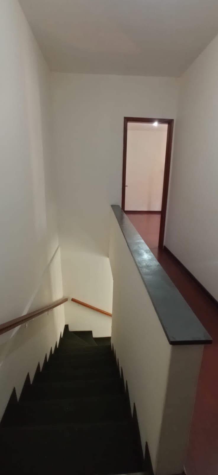 487465775_1185831699643925_1017330761959623757_n