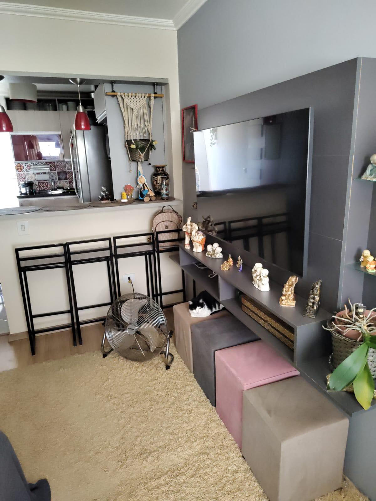 487975942_1188855882674840_8165503837579631061_n (1)